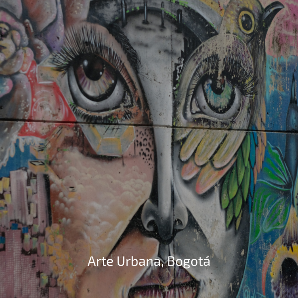 UM MUNDO POR DESCOBRIR — galeria