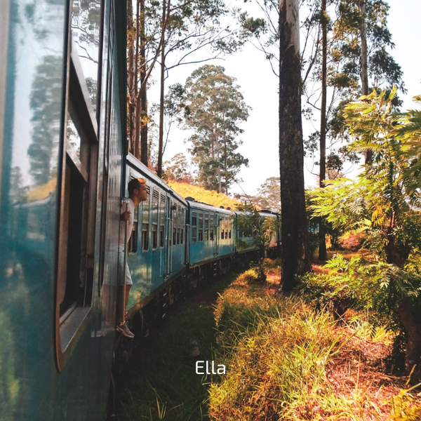 A PÉROLA DO ÍNDICO — galeria