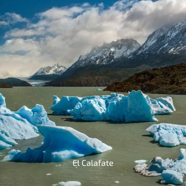 SILÊNCIOS DA PATAGÓNIA — galeria