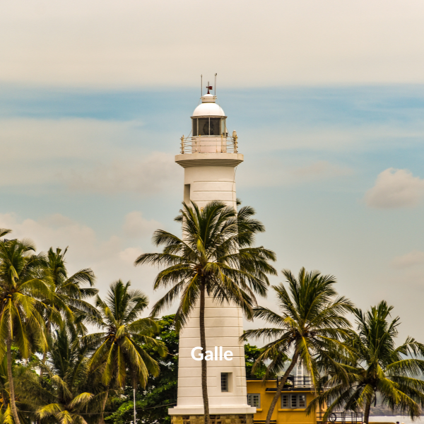A PÉROLA DO ÍNDICO — galeria