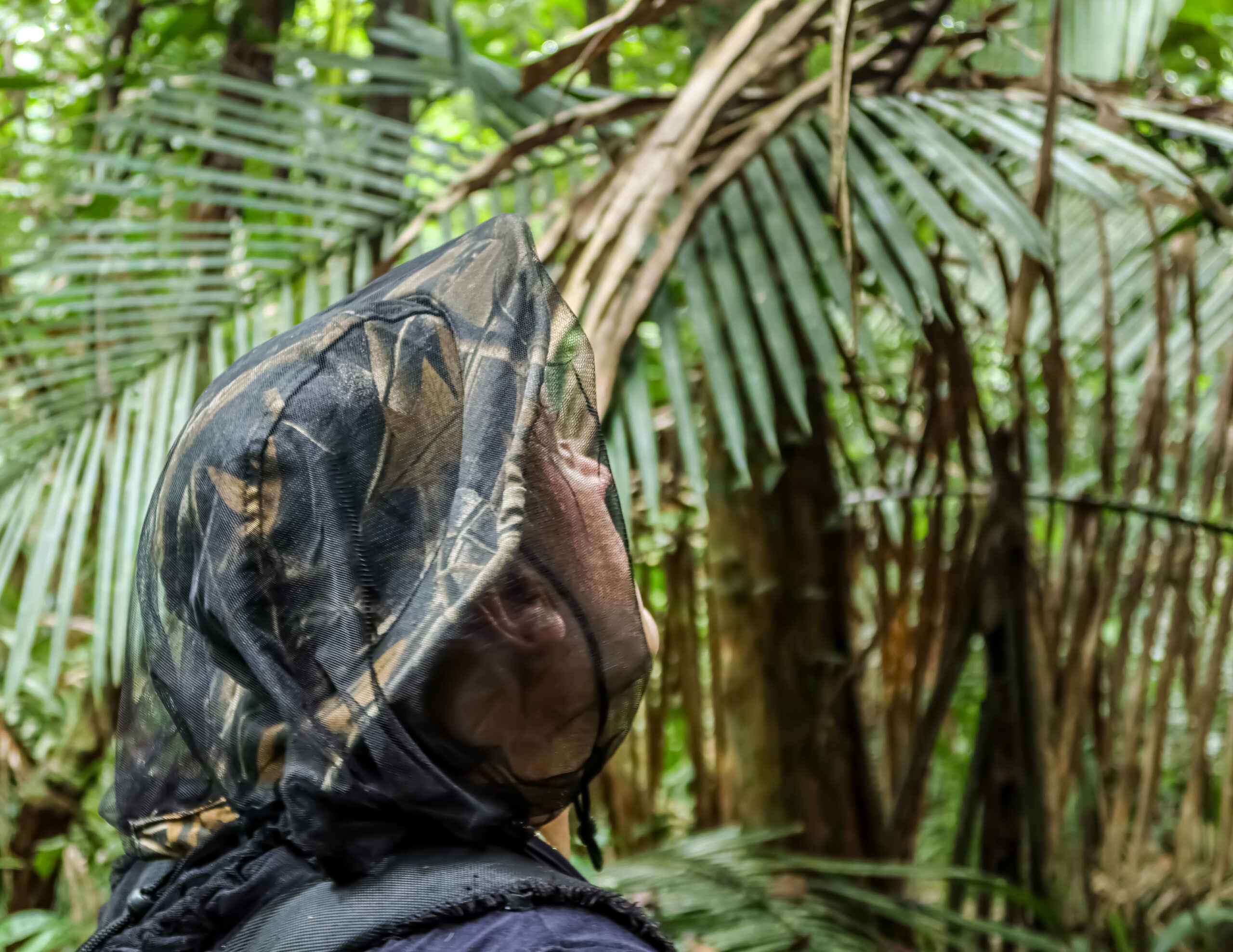 SELVA AMAZÓNICA BRASILEIRA — galeria