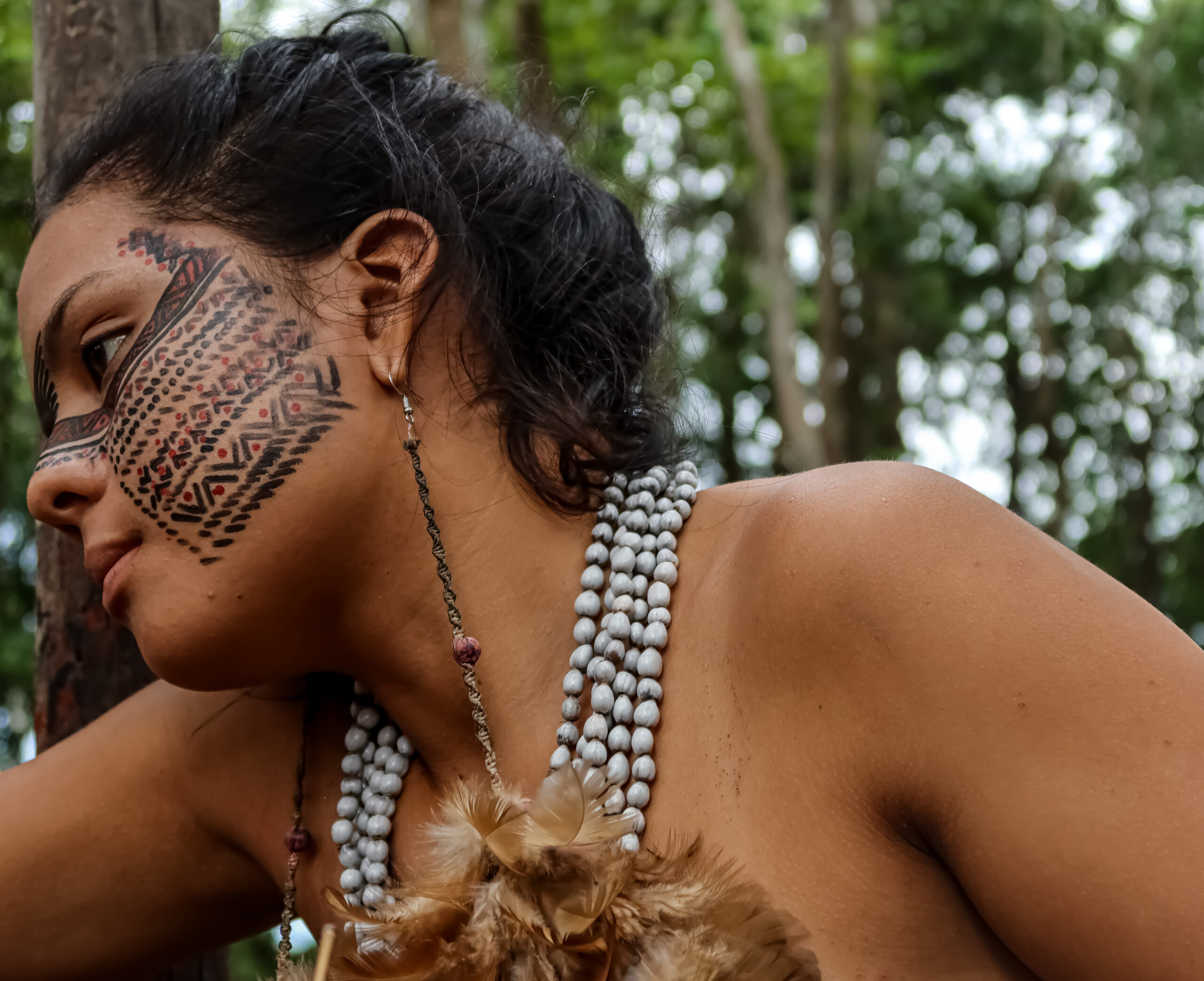 SELVA AMAZÓNICA BRASILEIRA — galeria