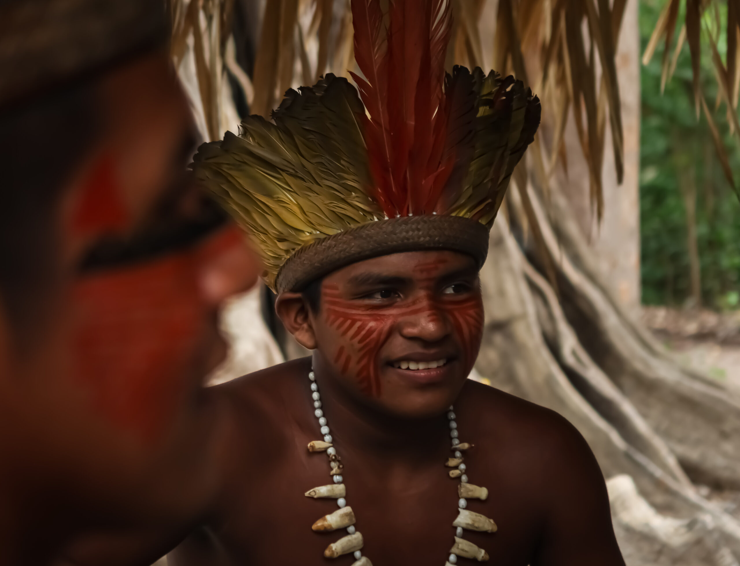 SELVA AMAZÓNICA BRASILEIRA — galeria