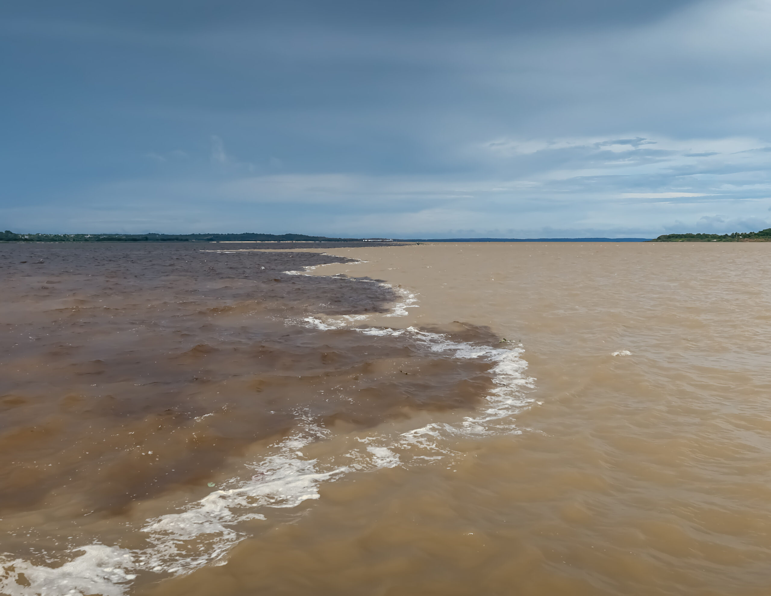SELVA AMAZÓNICA BRASILEIRA — galeria