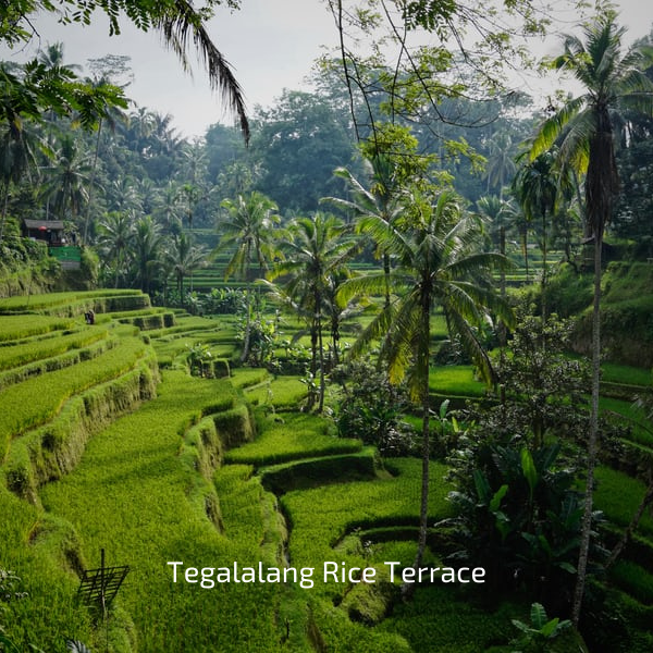 TESOUROS DAS ILHAS DE BALI, FLORES E GILI — galeria