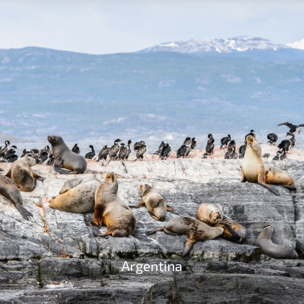 SILÊNCIOS DA PATAGÓNIA — galeria