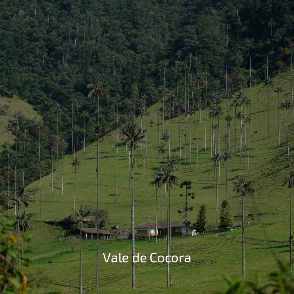UM MUNDO POR DESCOBRIR — galeria