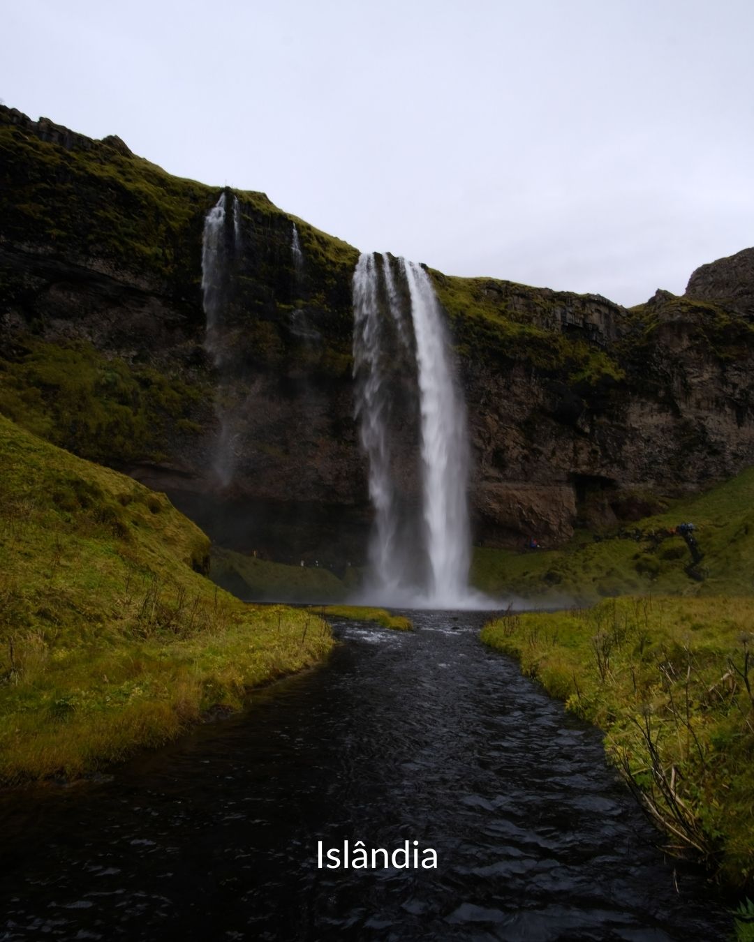 A TERRA DE FOGO E GELO  — galeria
