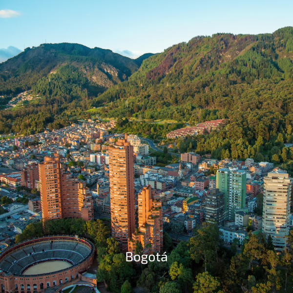 UM MUNDO POR DESCOBRIR — galeria