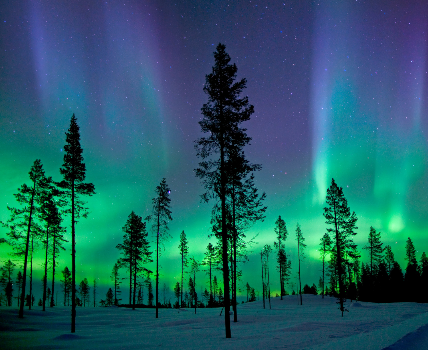 À DESCOBERTA DAS AURORAS BOREAIS — galeria