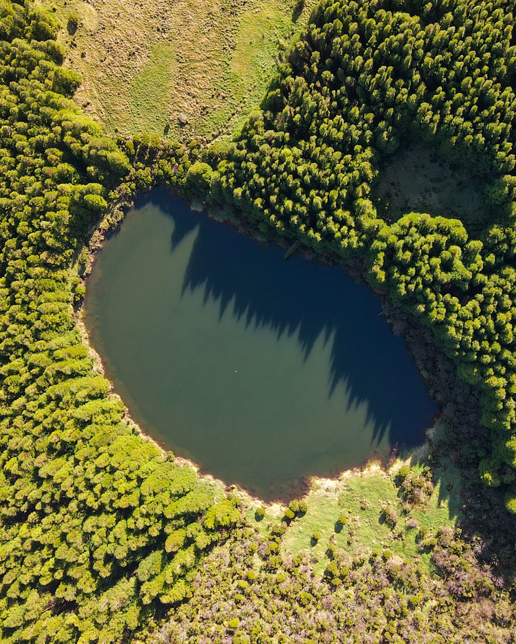 BETWEEN TRAILS AND LANDSCAPES — galeria