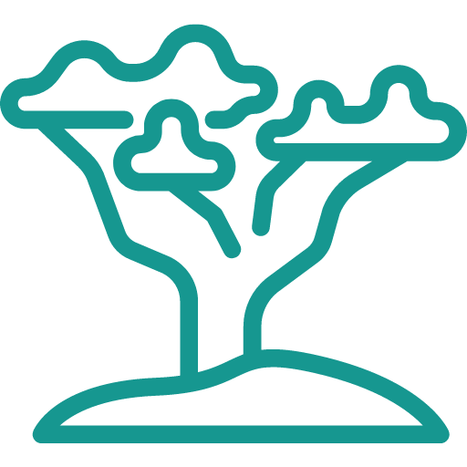 Workshops e Formação Etnográfica