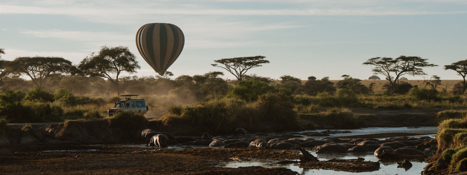 Letra Miúda | Em cada 100 euros de um safari, para onde vão?
