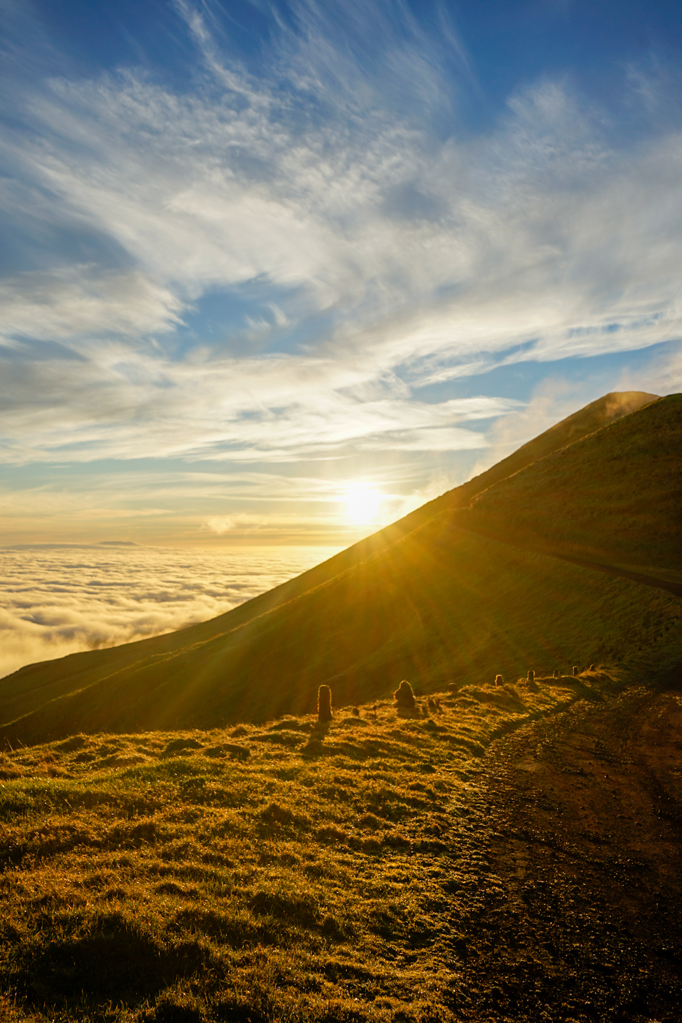 BETWEEN TRAILS AND LANDSCAPES — galeria