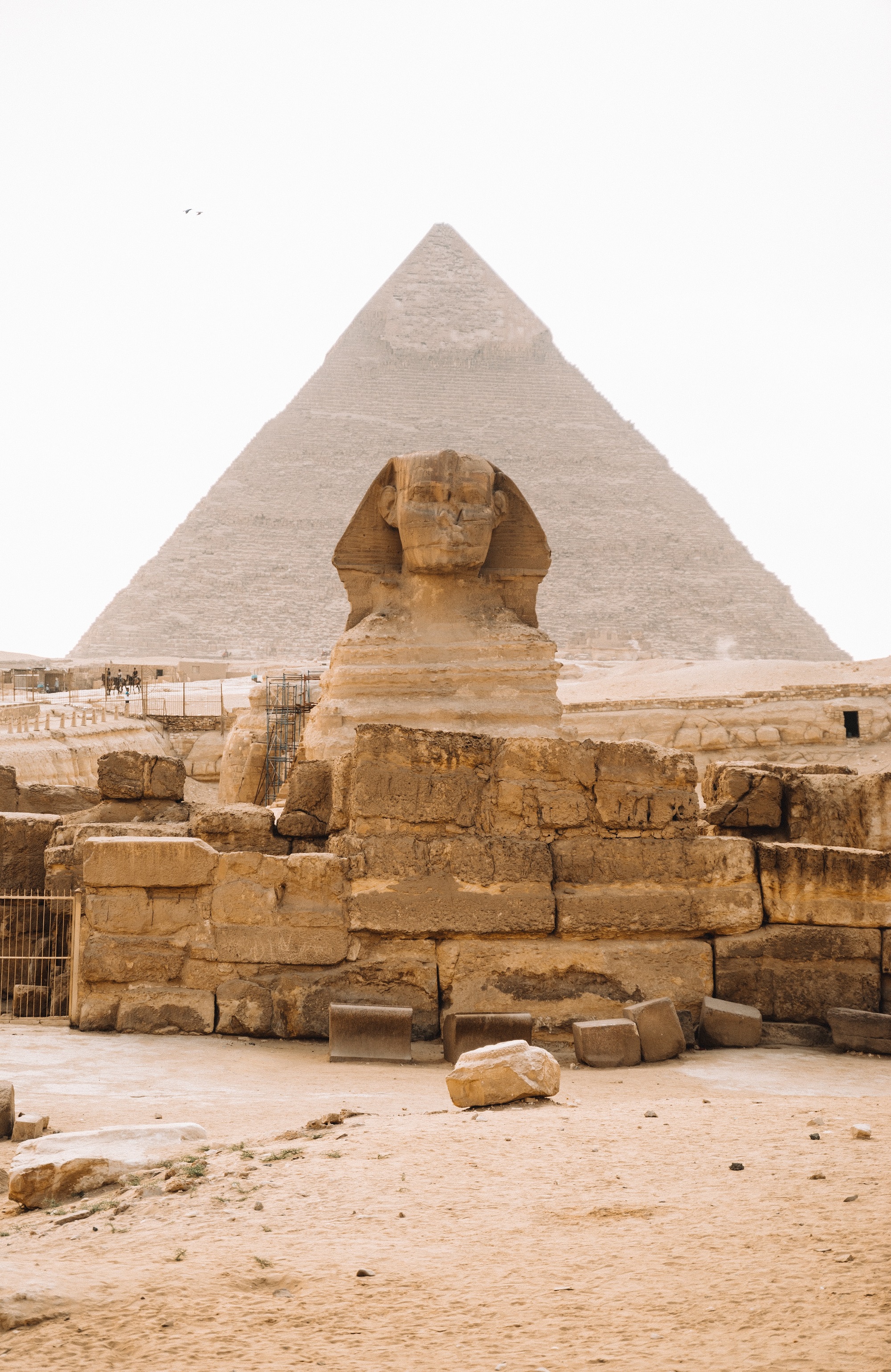 THE SECRET OF THE PHARAOHS — galeria