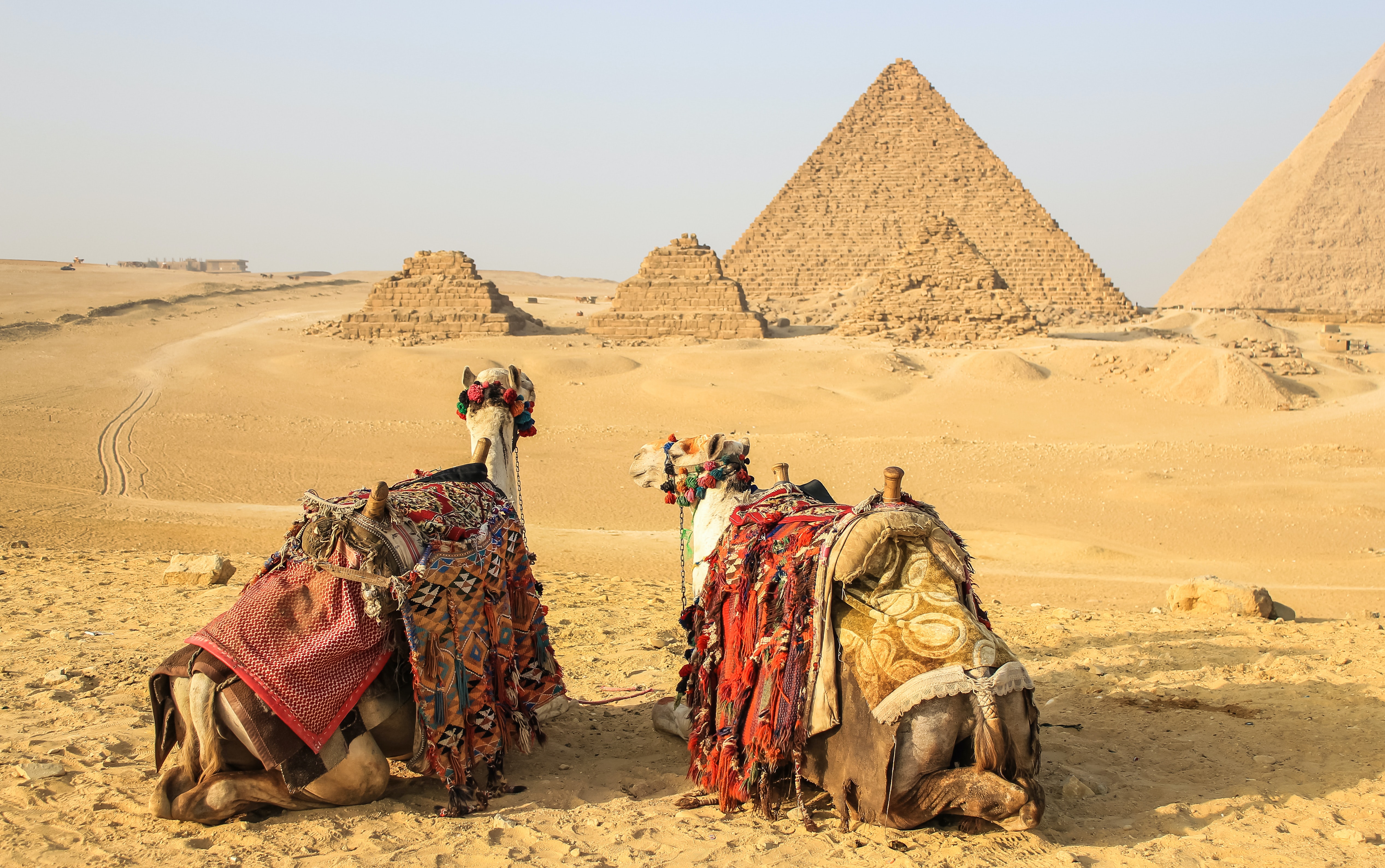 THE SECRET OF THE PHARAOHS — galeria