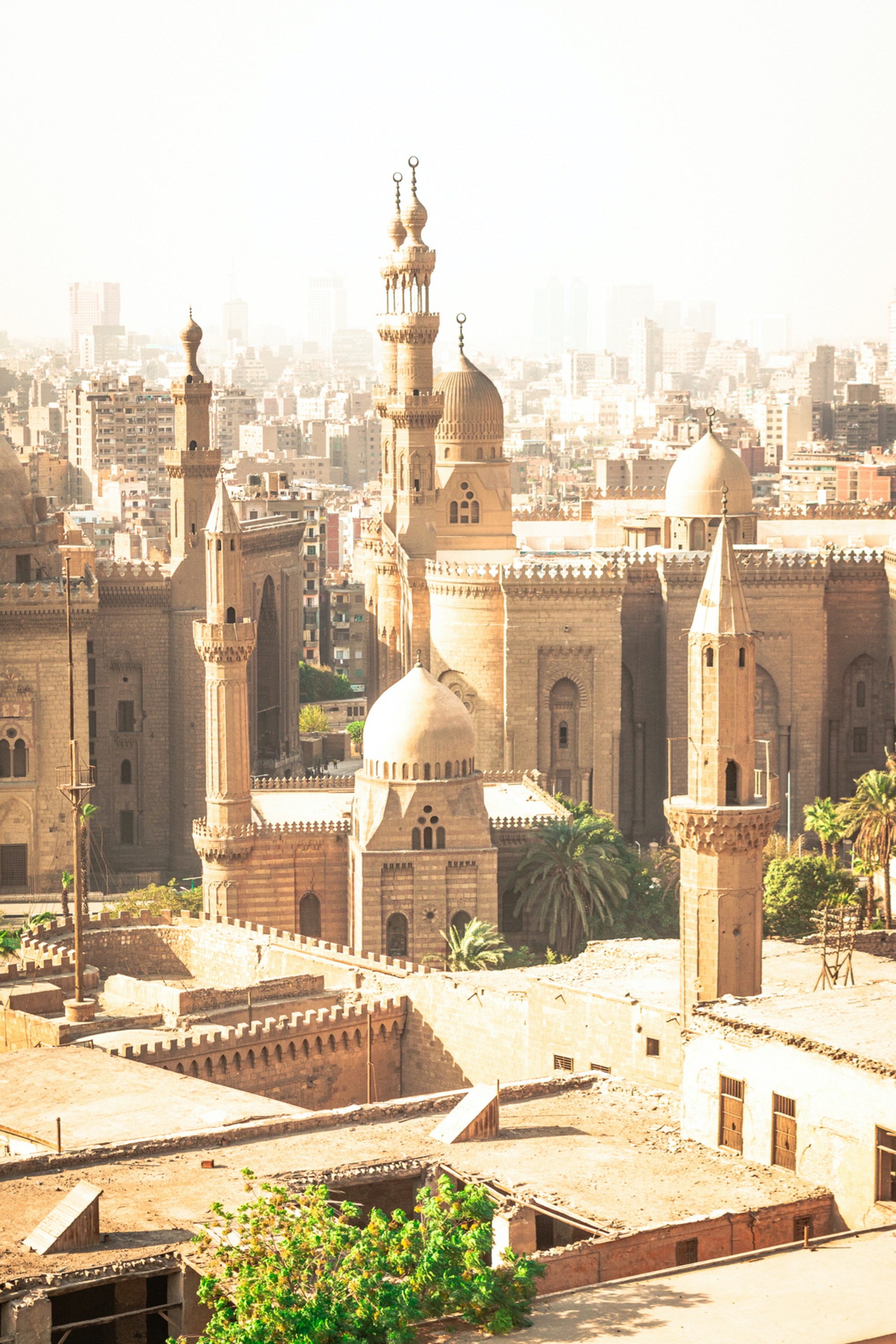 THE SECRET OF THE PHARAOHS — galeria